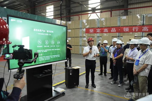 好板迎亚运 绿色工厂行 千年舟澳思柏恩邳州工厂品质之旅